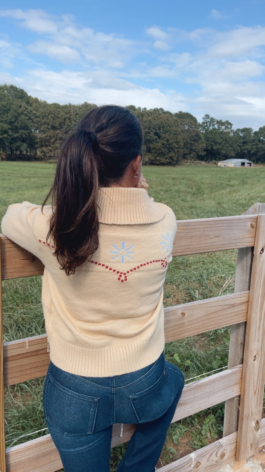 Western Design Sweater Cardigan