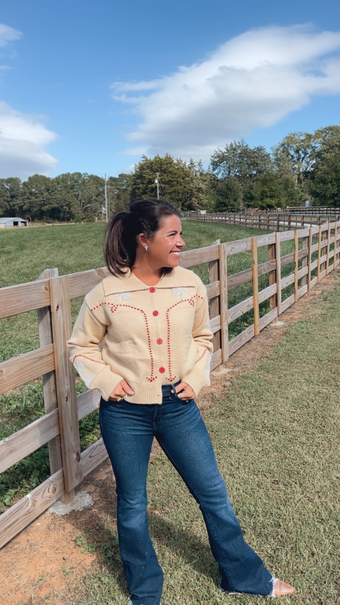 Western Design Sweater Cardigan